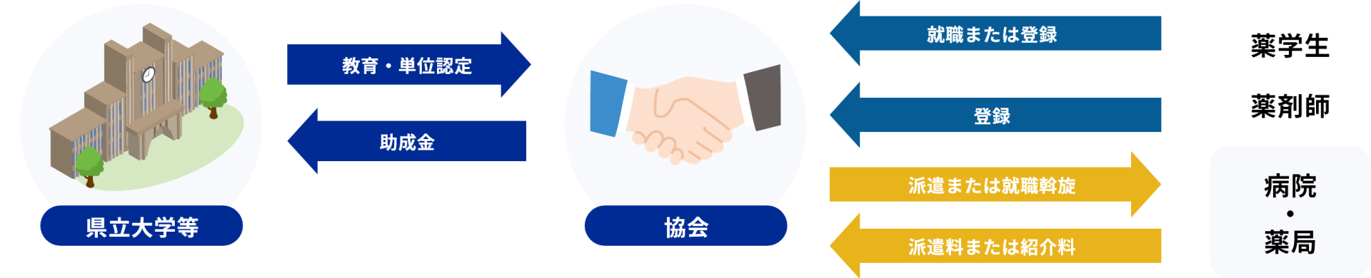 協会のしくみ（例：薬剤師の場合）